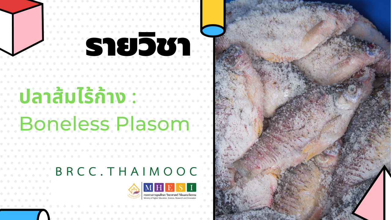 ปลาส้มไร้ก้าง | Boneless Plasom 00058