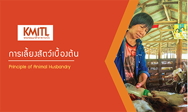 การเลี้ยงสัตว์เบื้องต้น | Principle of Animal Husbandry 00255