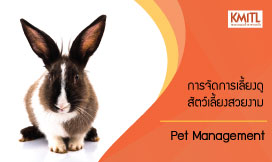 การจัดการเลี้ยงดูสัตว์เลี้ยงสวยงาม | Pet Management 00261