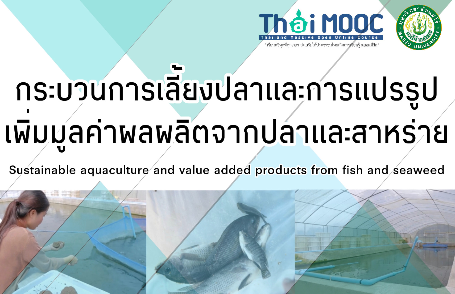 กระบวนการเลี้ยงปลาและการแปรรูปเพิ่มมูลค่าผลผลิตจากปลาและสาหร่าย | Sustainable aquaculture and value-added products from fish and seaweed 00329